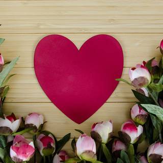 Valentine's Day plants wallpaper