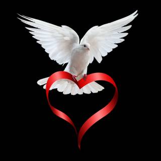 Love story 4k wallpaper