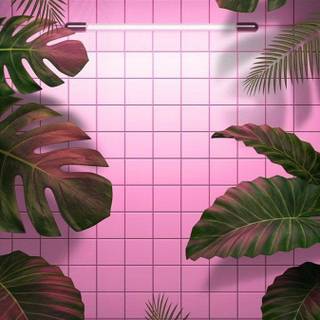 Neon pink aesthetic wallpaper