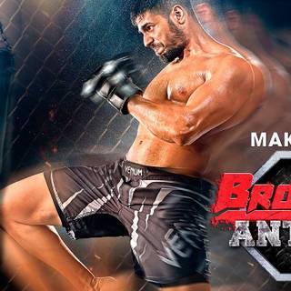 Brothers movie Akshay Kumar wallpaper