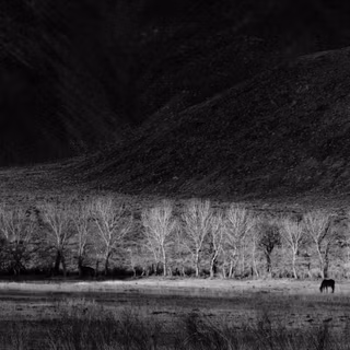 Dark winter vintage wallpaper