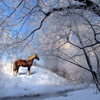 Beautiful winter horse wallpaper