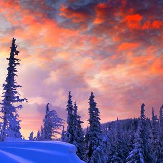 Winter clouds wallpaper