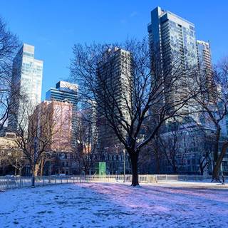 Winter skyline wallpaper