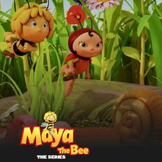 Maya the Bee wallpaper