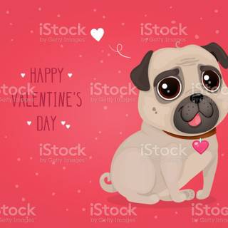 Cute Valentine's Day pets wallpaper