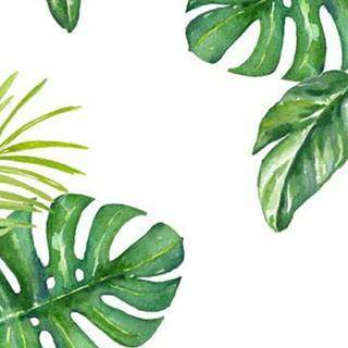 Tropical plant wallpaper