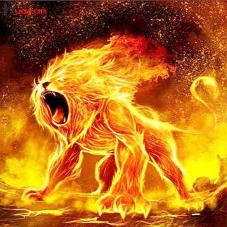 Fire vs ice lions wallpaper