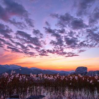 Colorful winter sunrise wallpaper