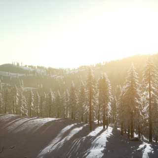 Colorful winter sunrise wallpaper