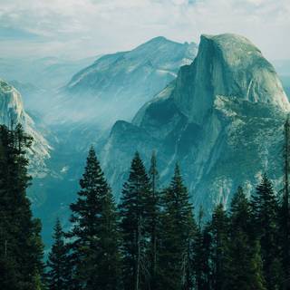 Mountain forest wallpaper