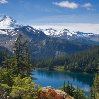 Mountain forest wallpaper