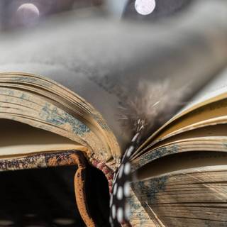 Aesthetic book pages wallpaper