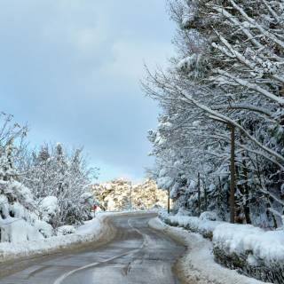 iPhone winter sesons wallpaper