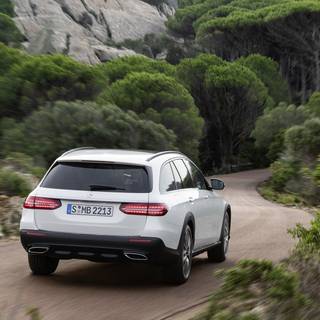 Bright 2021 wallpaper