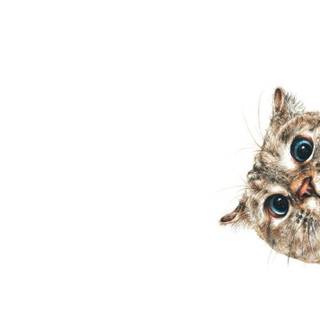Curious kittens wallpaper