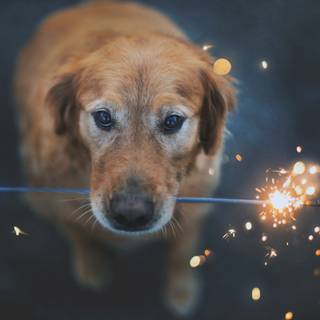 Sparklers desktop wallpaper