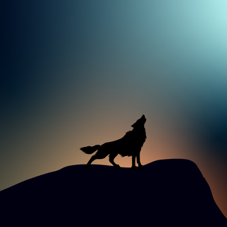 Aesthetic wolf wallpaper