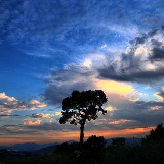 Wonderful sky wallpaper