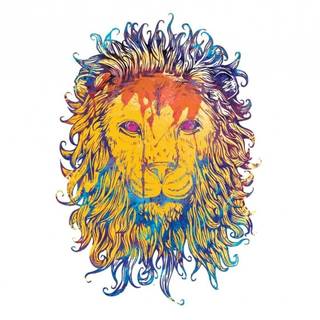 Lion drawing wallpaper