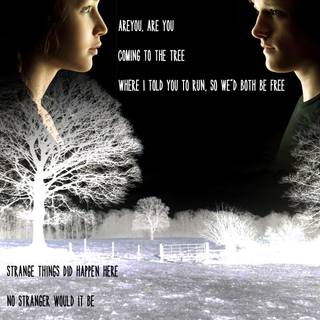 Hunger Games quotes wallpaper