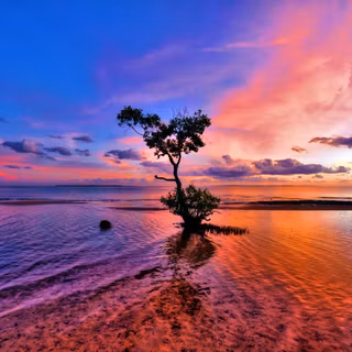 1920x1200 nature wallpaper