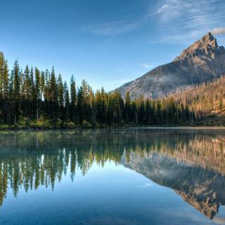 1920x1200 nature wallpaper