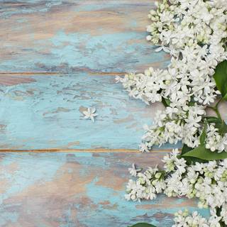 Rustic flowers phone wallpaper