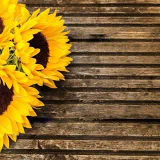 Summer rustic wallpaper