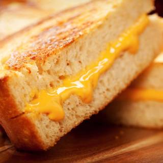 Grilled cheese sandwich wallpaper