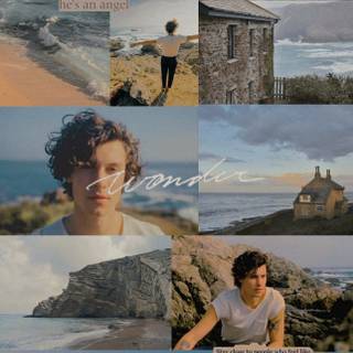 Shawn Mendes 2021 wallpaper