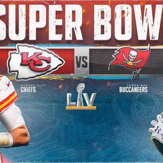 Tampa Bay Buccaneers Super Bowl Champions wallpaper