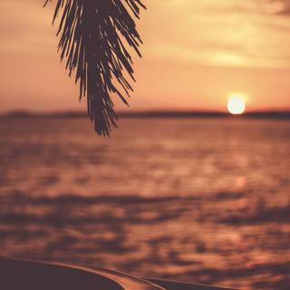 Beginning sunset wallpaper