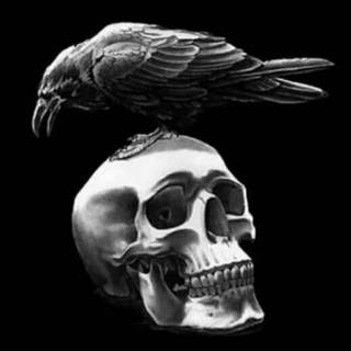 Skull tattoo wallpaper