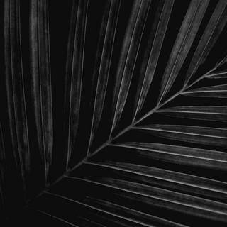 Dark iPhone XS Max wallpaper