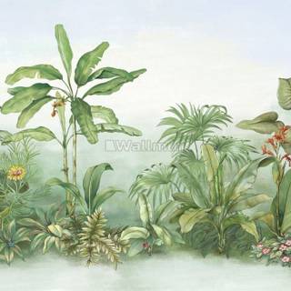 Rainforest plants wallpaper
