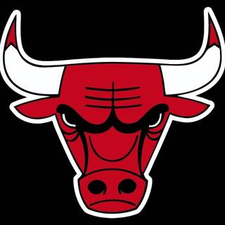 Bull desktop wallpaper