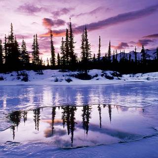 Afternoon winter wallpaper