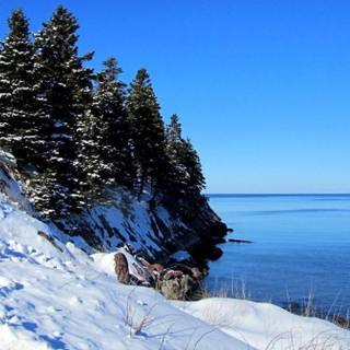 Winter breeze wallpaper