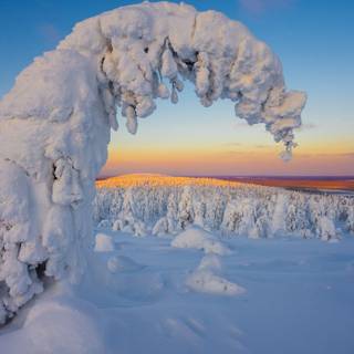 Afternoon winter wallpaper