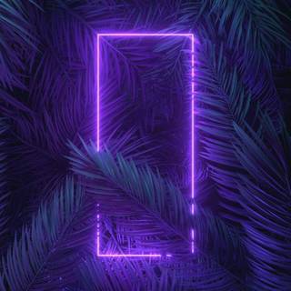 Neon for iPhone wallpaper