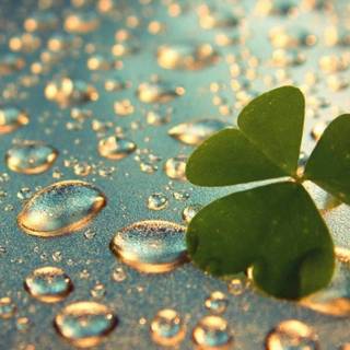 Concentration wallpaper