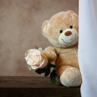 Valentines Day Teddy Bear wallpaper