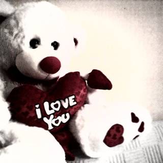 Valentines Day Teddy Bear wallpaper