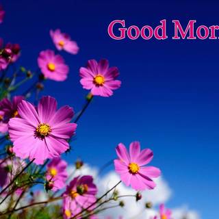 Good morning baddie wallpaper