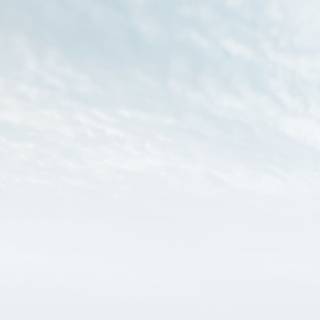 White iPhone 11 wallpaper