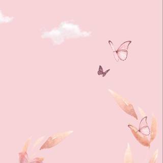 Pink butterfly aesthetic wallpaper