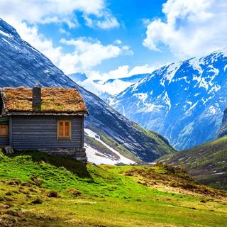 Landscaping wallpaper