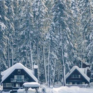 Mobile winter wallpaper