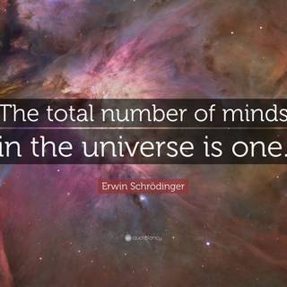 Erwin Schrödinger wallpaper